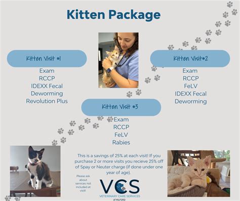 kitten vaccine package and fecal test|Vet Care Service Packages for Dogs and Cats .